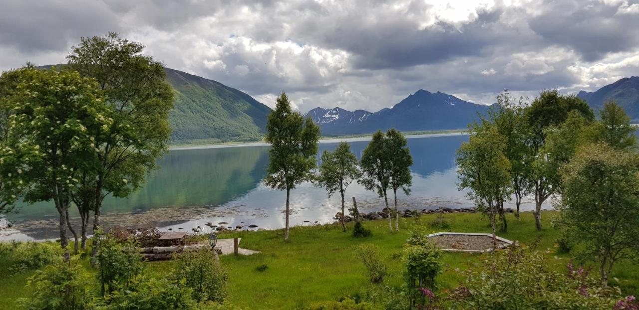 RisoyhamnLykkebo, Skjoldehamnveien 1151, Nygard, Andoy别墅 外观 照片