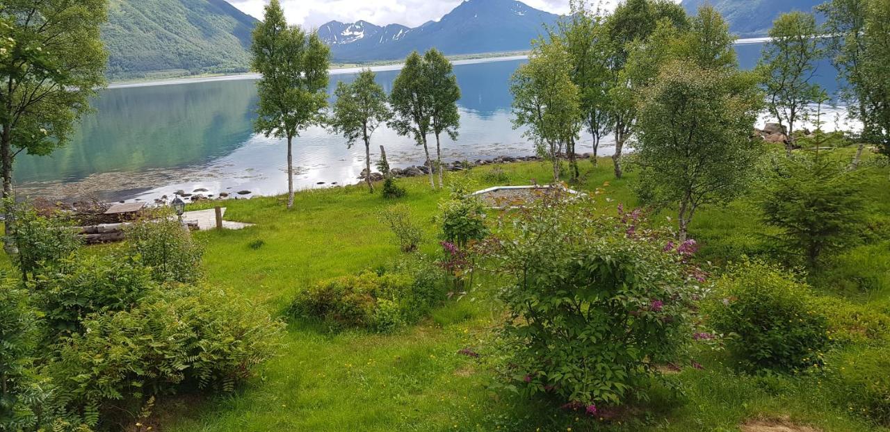 RisoyhamnLykkebo, Skjoldehamnveien 1151, Nygard, Andoy别墅 外观 照片